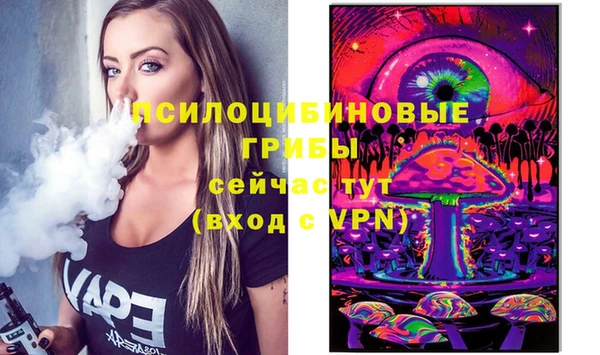 гидра Алексин