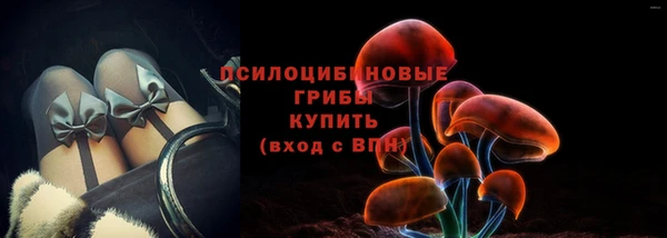 гидра Алексин