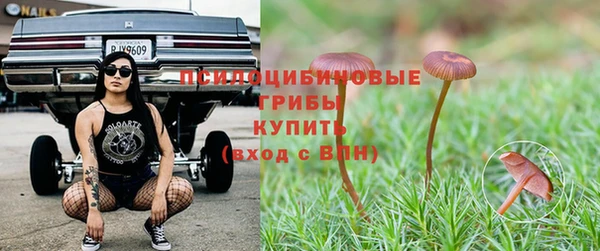 spice Алексеевка