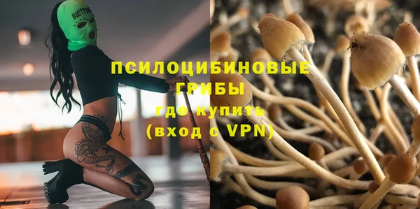 гидра Алексин