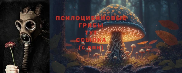 герыч Алзамай